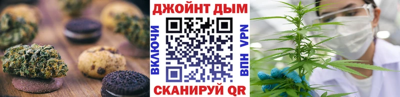 Canna-Cookies марихуана  Купить  Шахунья 