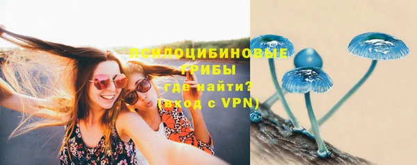 прущий лед Арсеньев