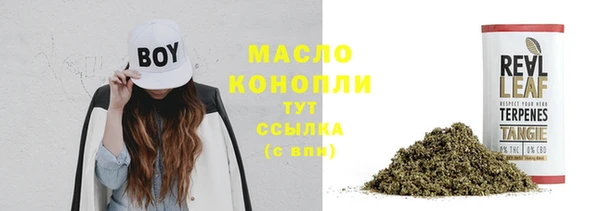 крисы Аркадак