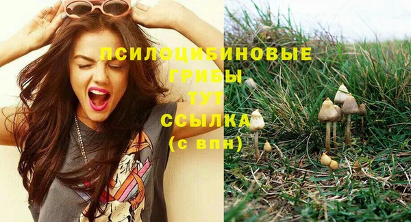 метамфетамин Яровое